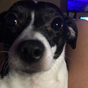 Meet your Posher, Tracy